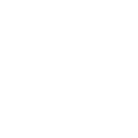 API-Integration