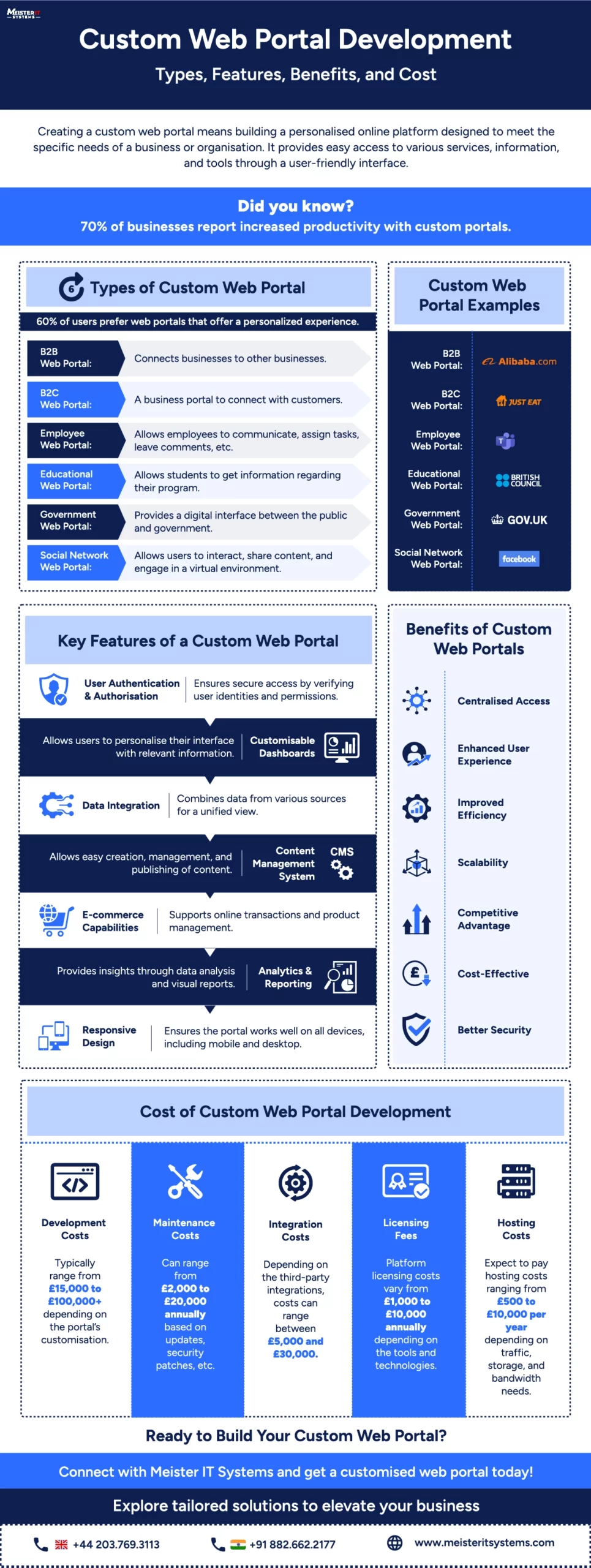 Custom Web Portal Development Infographic